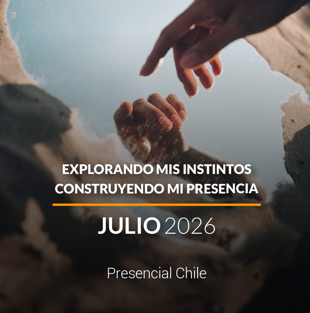 Descripción de la imagen